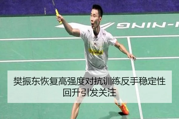 樊振东恢复高强度对抗训练反手稳定性回升引发关注
